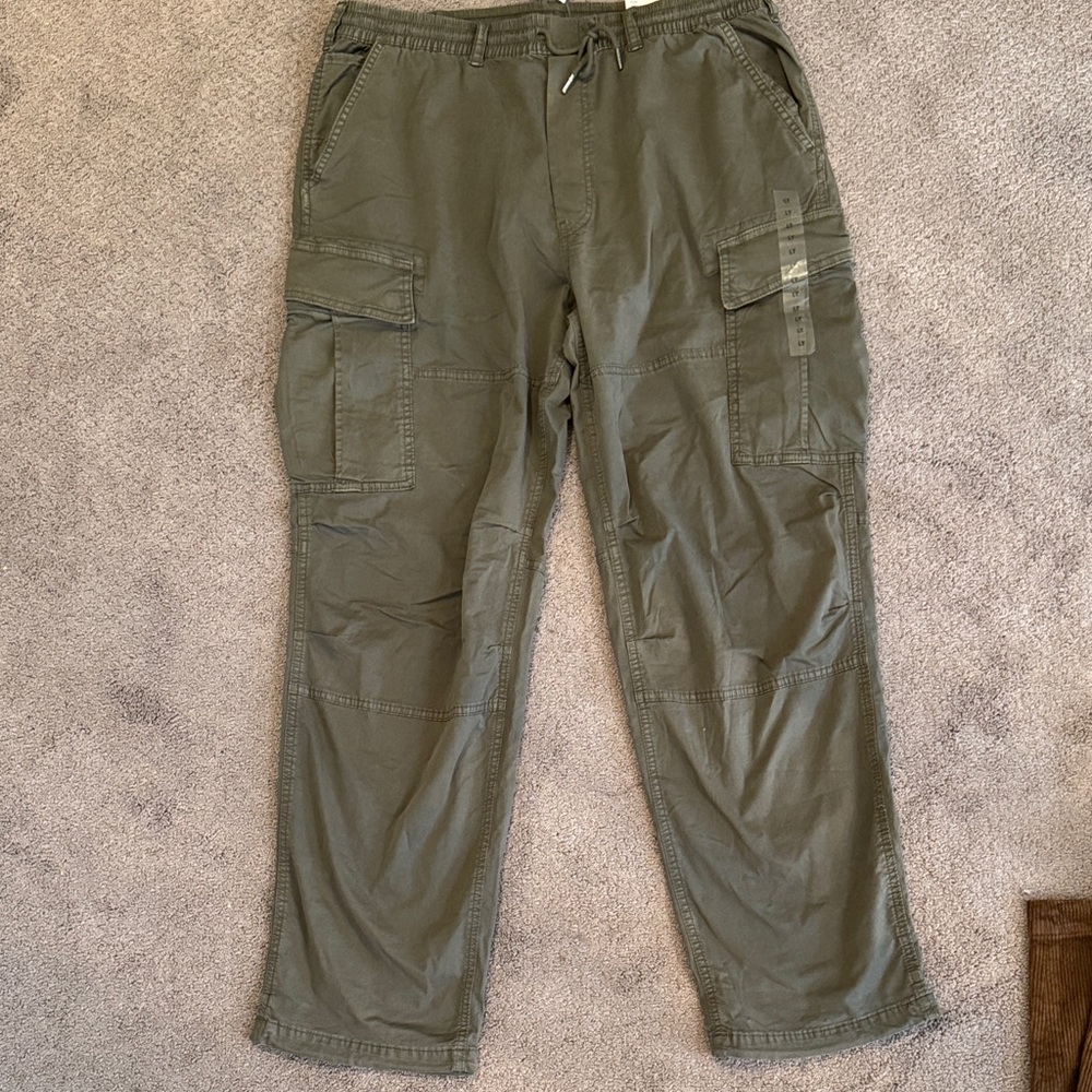 American Eagle Outfitters Men's Green Cargo Pants NWT